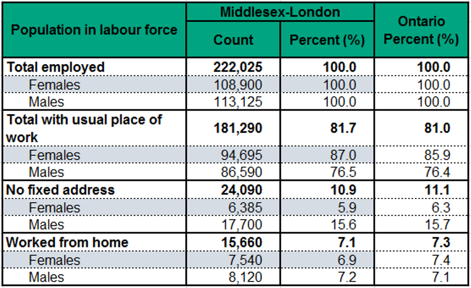 Figure 2.2.5: Usual place of work by sex 