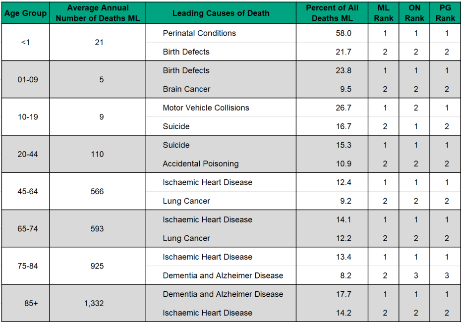 Figure 3.4.3 Leading causes of death - top two - by age group